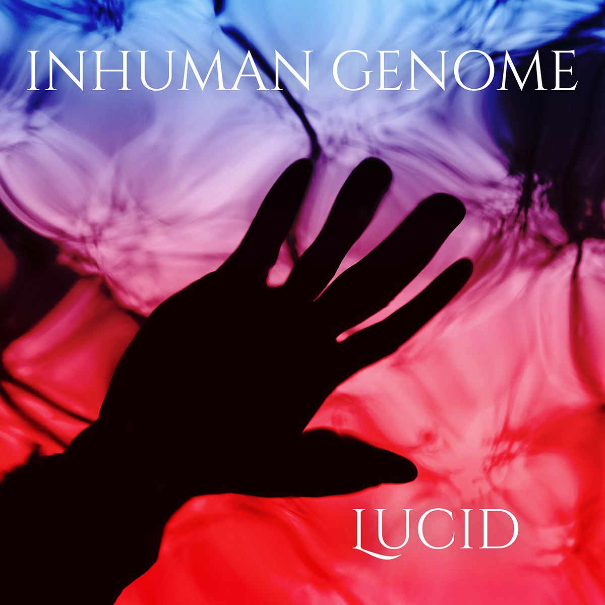 Lucid (Single)