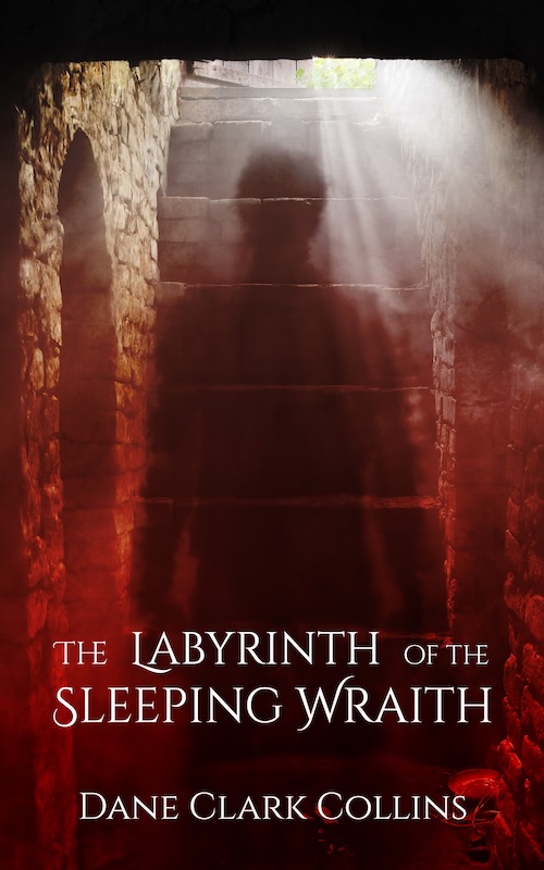 The Labyrinth of the Sleeping Wraith book cover
